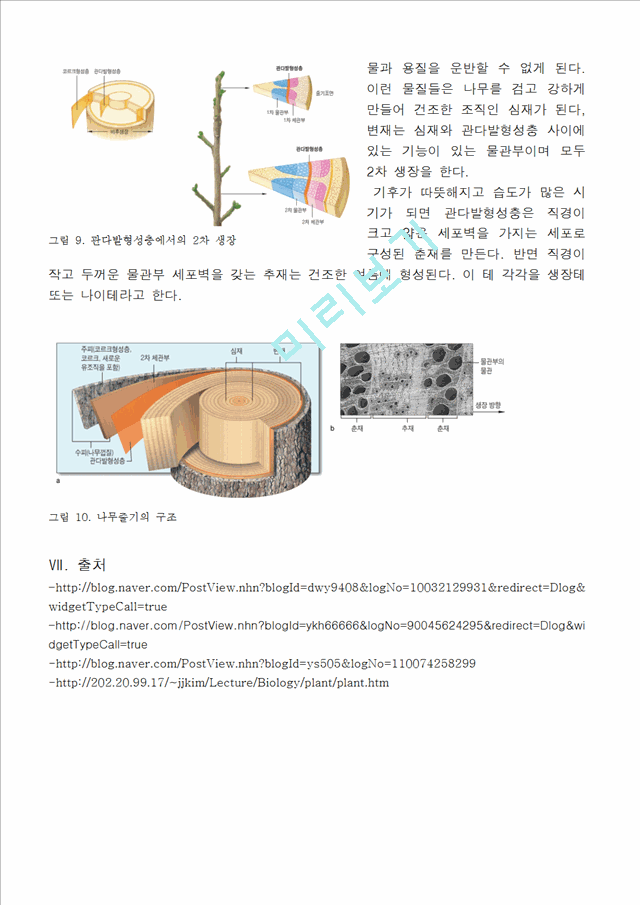 [의학,약학]생물학 - 식물조직에 관해서.hwp